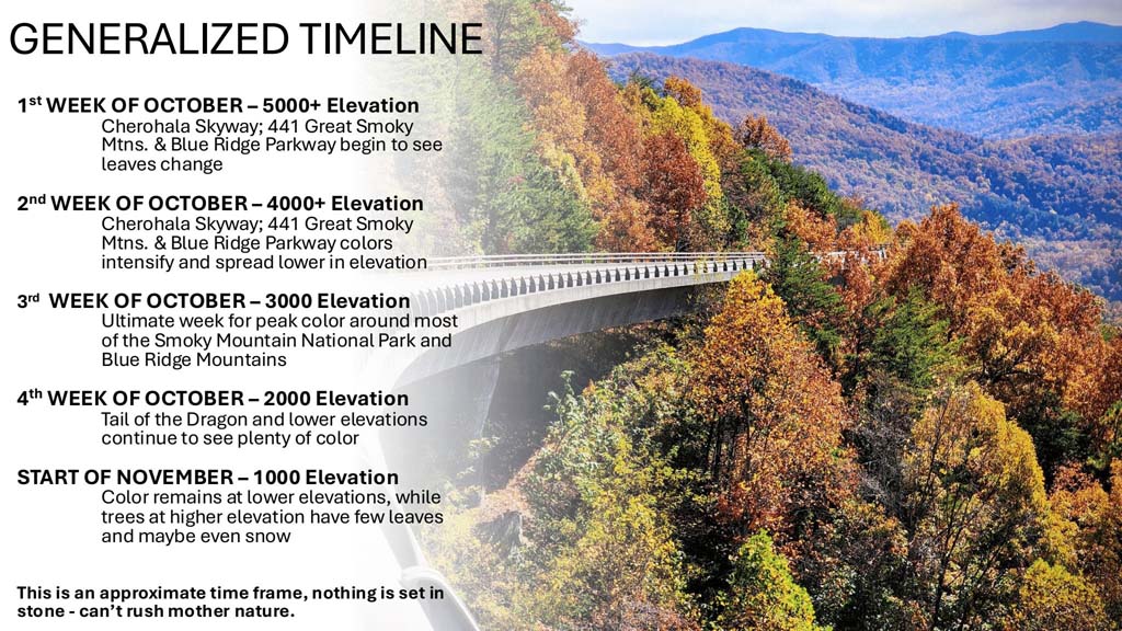 FallLeafColorTimeline